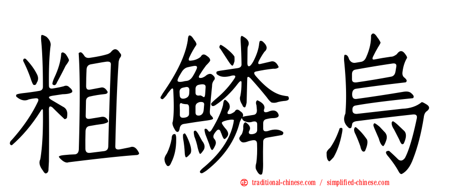 粗鱗烏