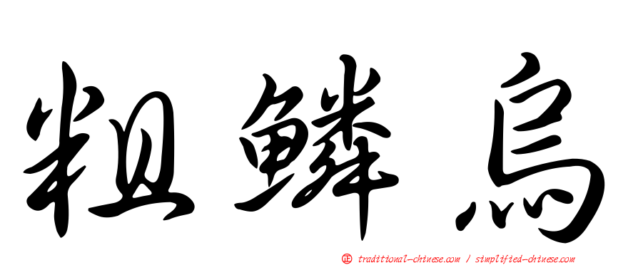 粗鱗烏