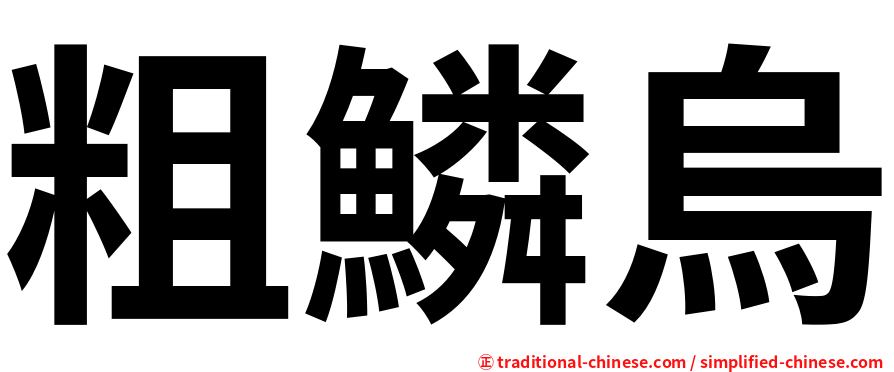 粗鱗烏