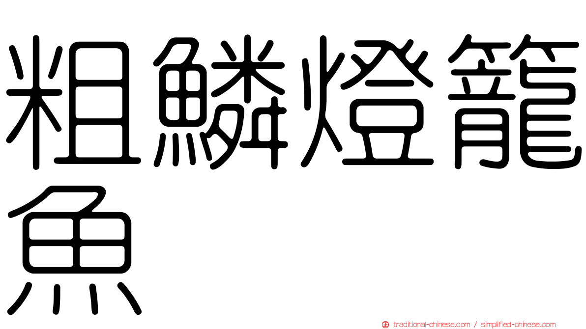 粗鱗燈籠魚
