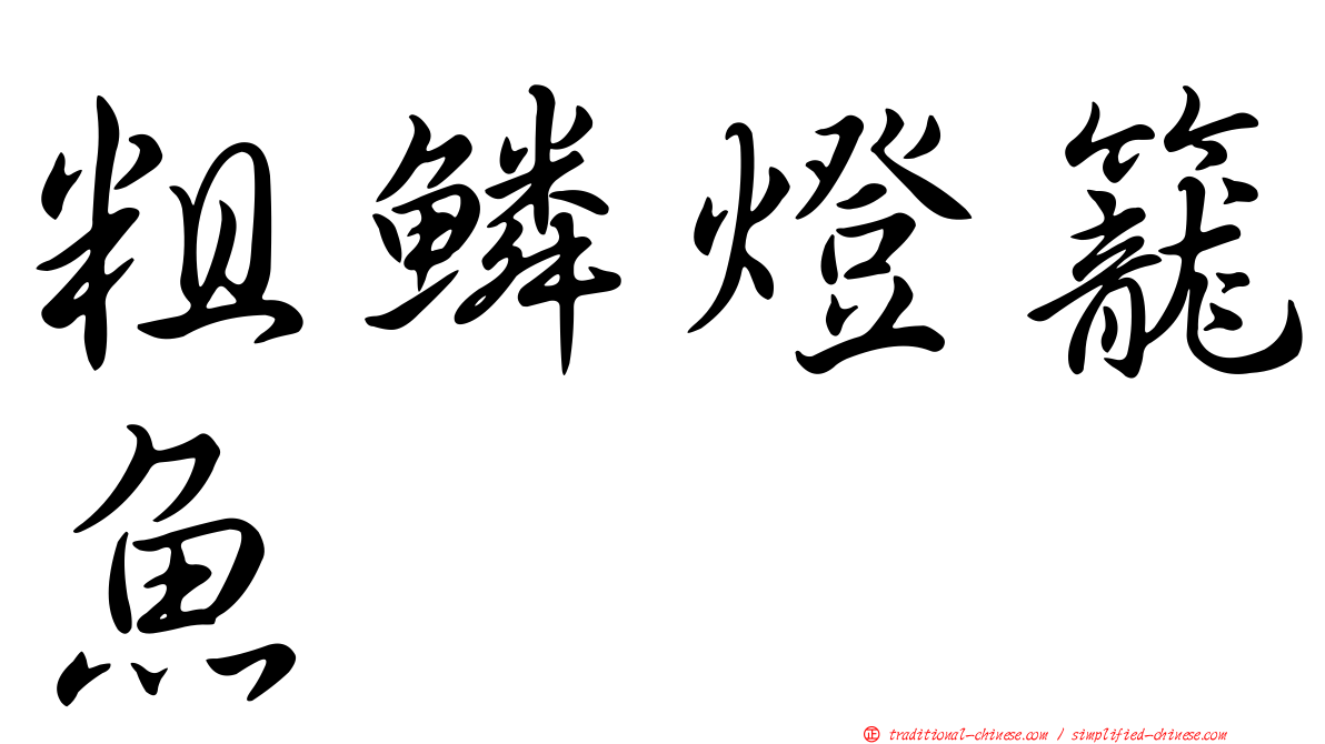 粗鱗燈籠魚