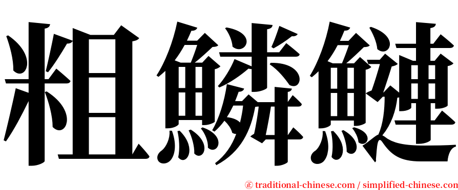 粗鱗鰱 serif font