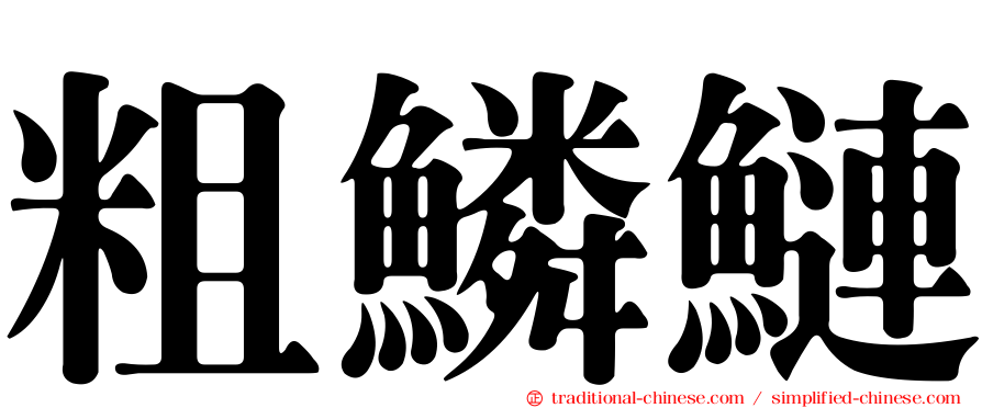 粗鱗鰱