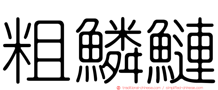 粗鱗鰱