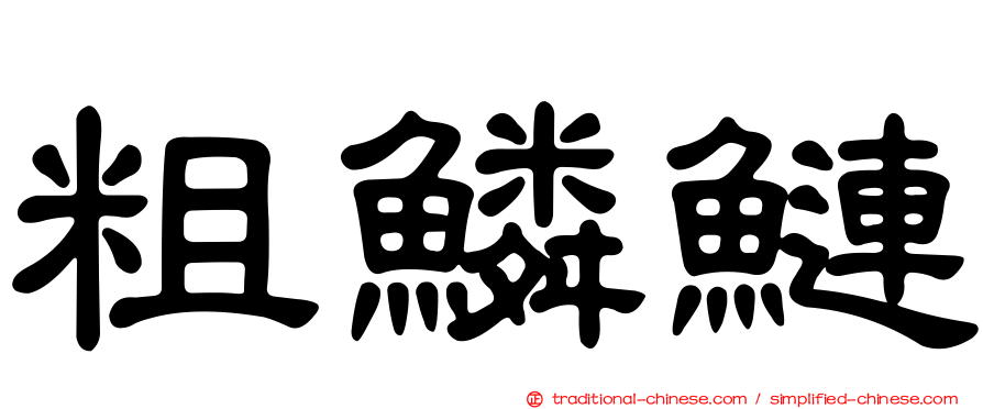粗鱗鰱