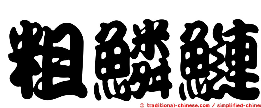 粗鱗鰱