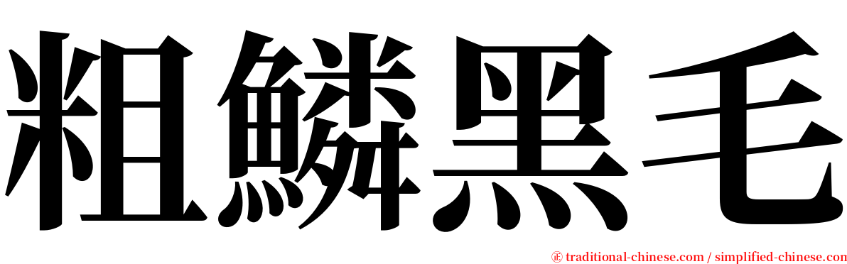 粗鱗黑毛 serif font