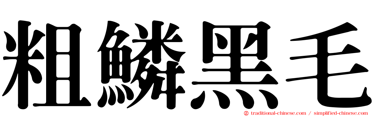 粗鱗黑毛