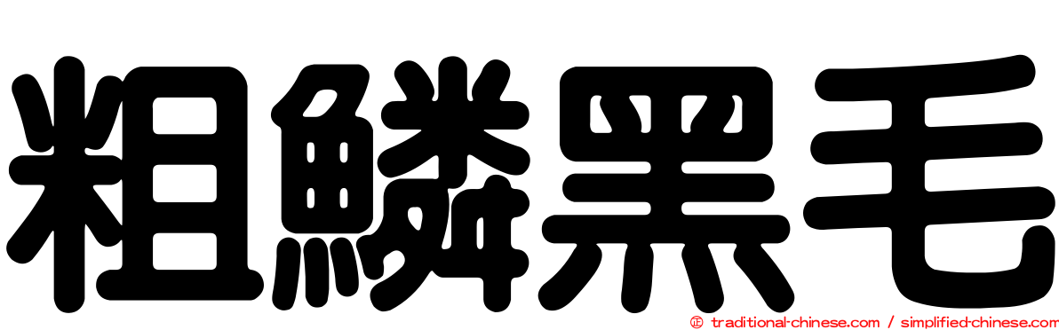 粗鱗黑毛