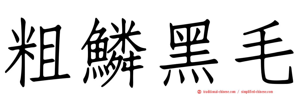 粗鱗黑毛