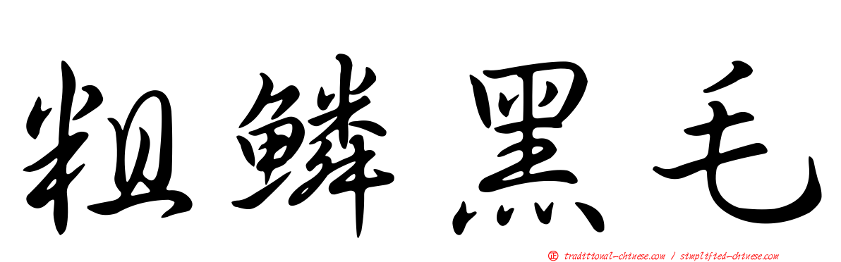 粗鱗黑毛