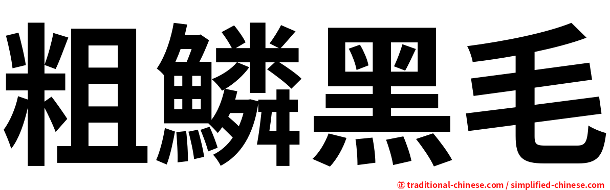 粗鱗黑毛