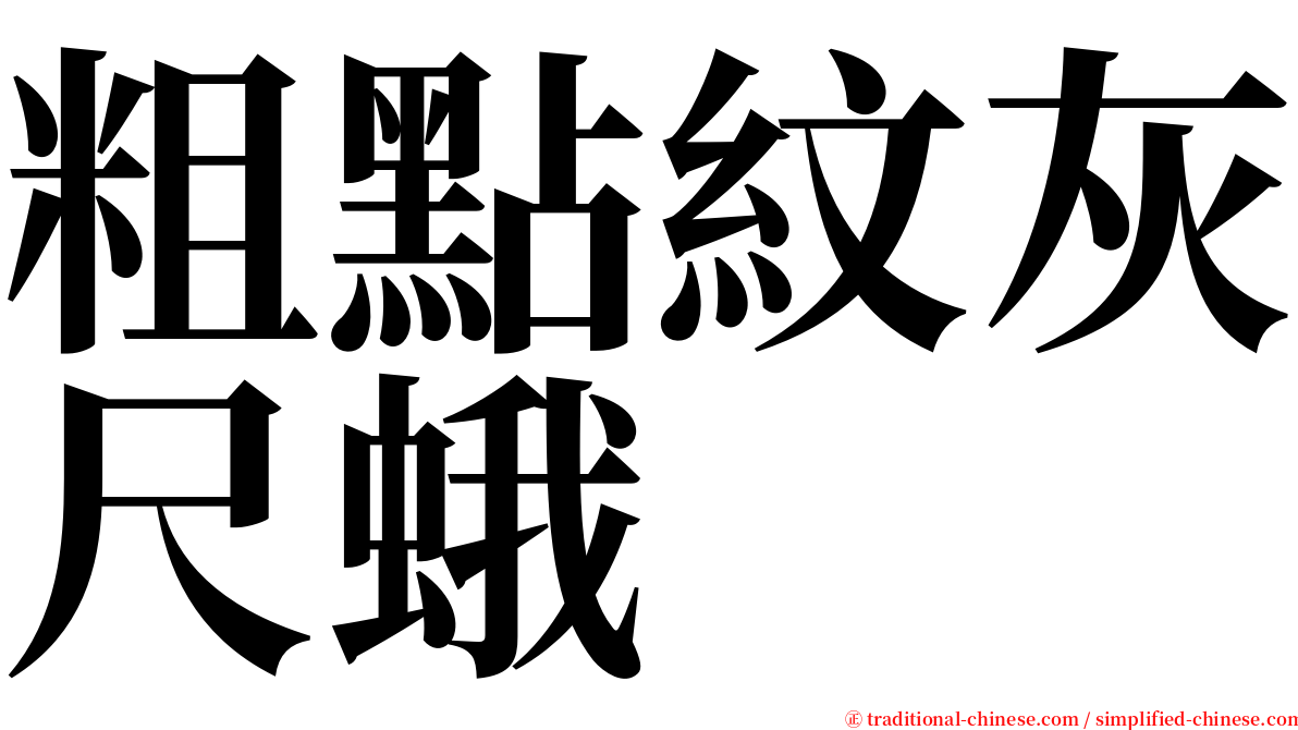 粗點紋灰尺蛾 serif font
