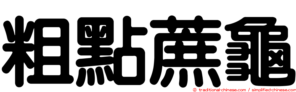 粗點蔗龜