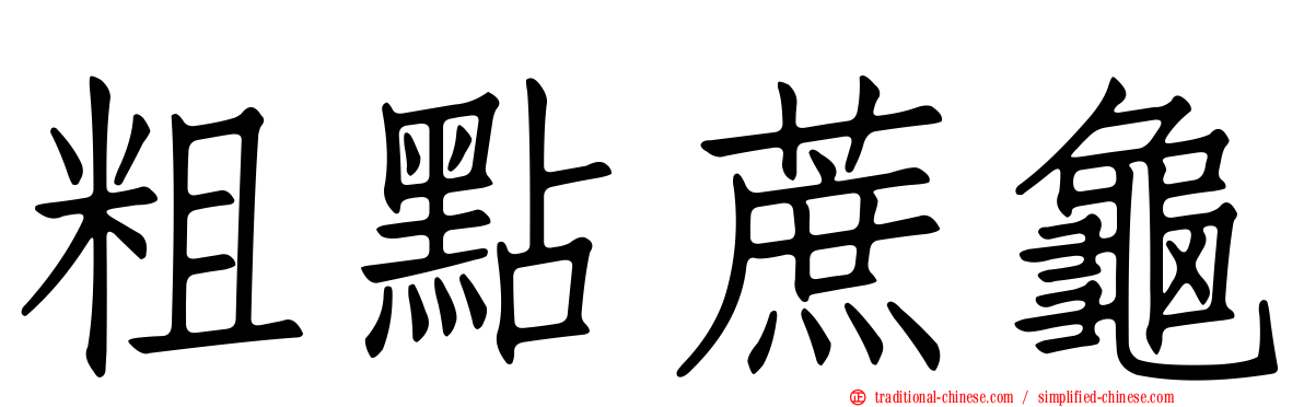 粗點蔗龜