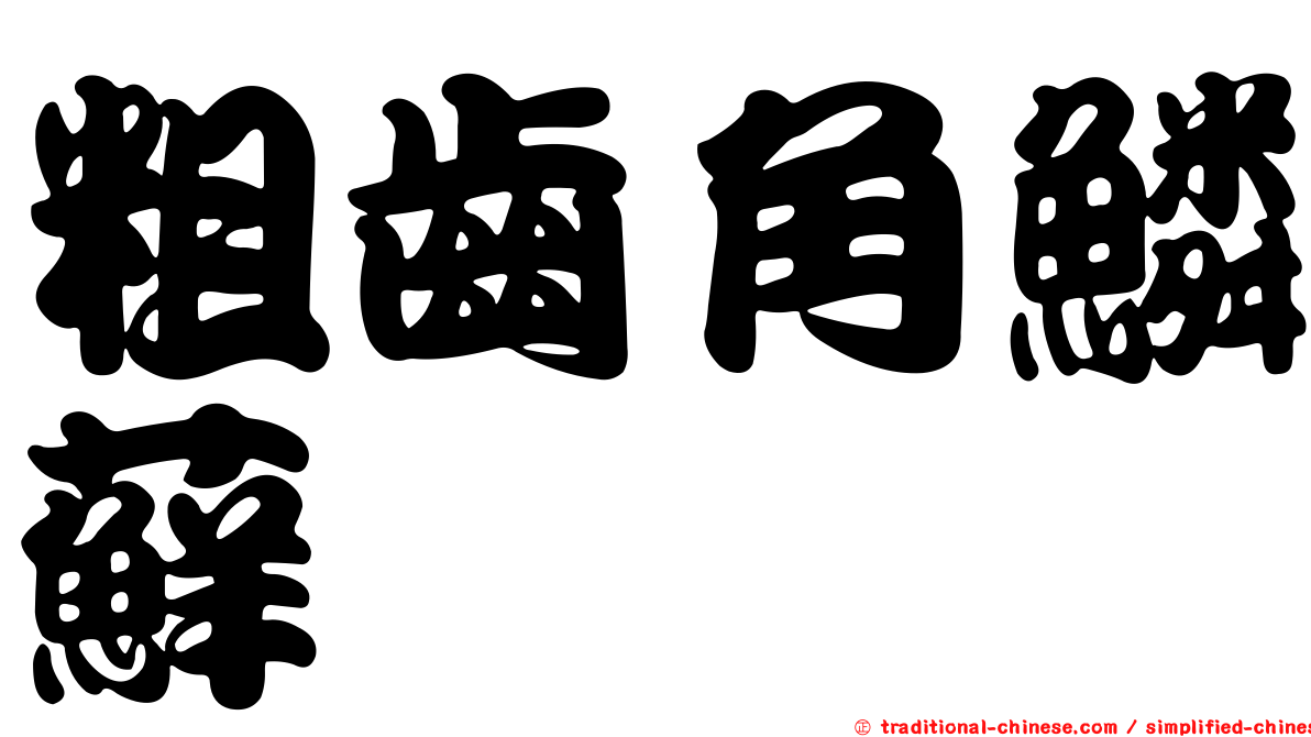 粗齒角鱗蘚