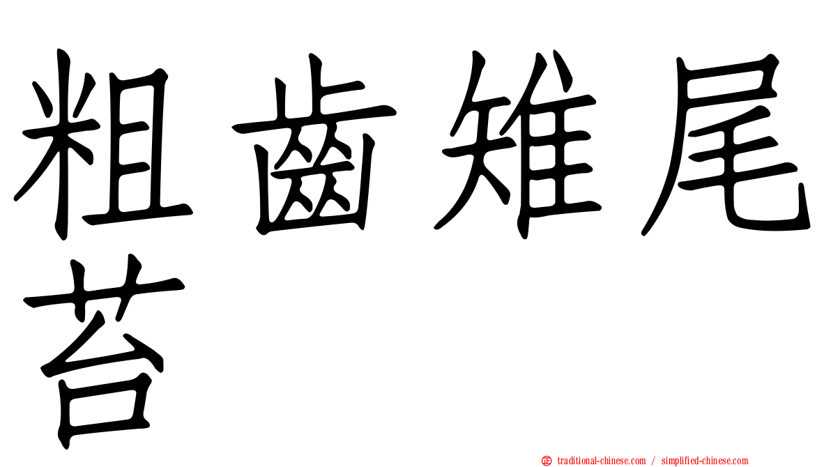 粗齒雉尾苔