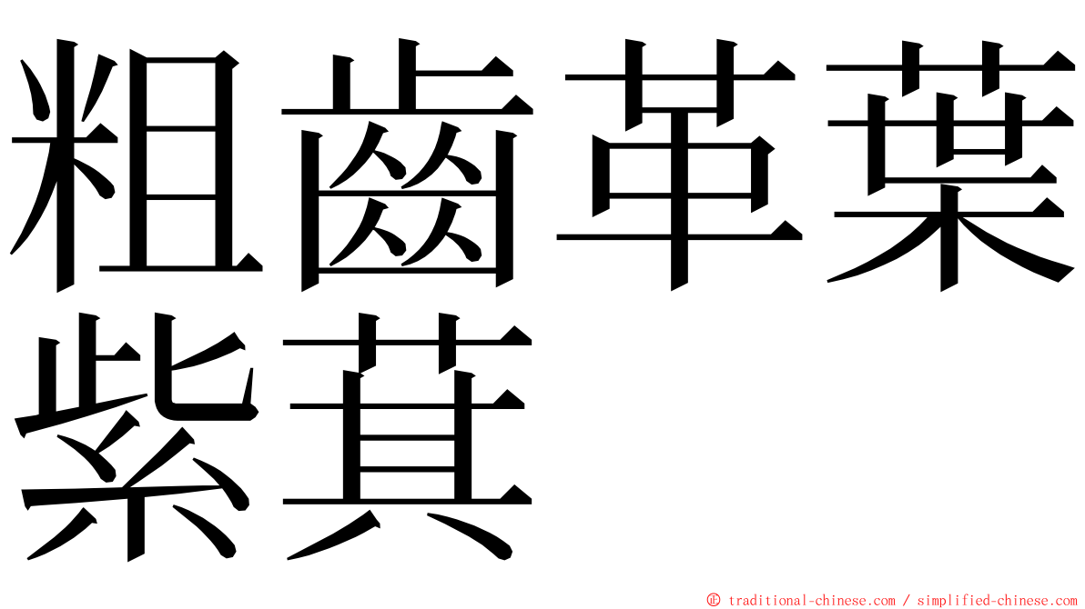 粗齒革葉紫萁 ming font