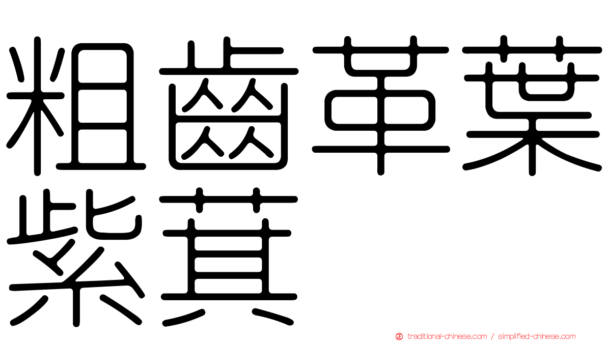 粗齒革葉紫萁