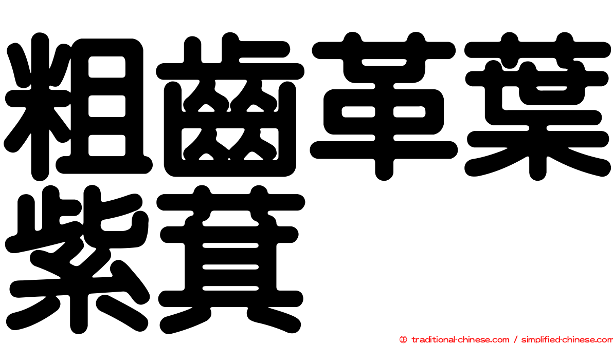 粗齒革葉紫萁