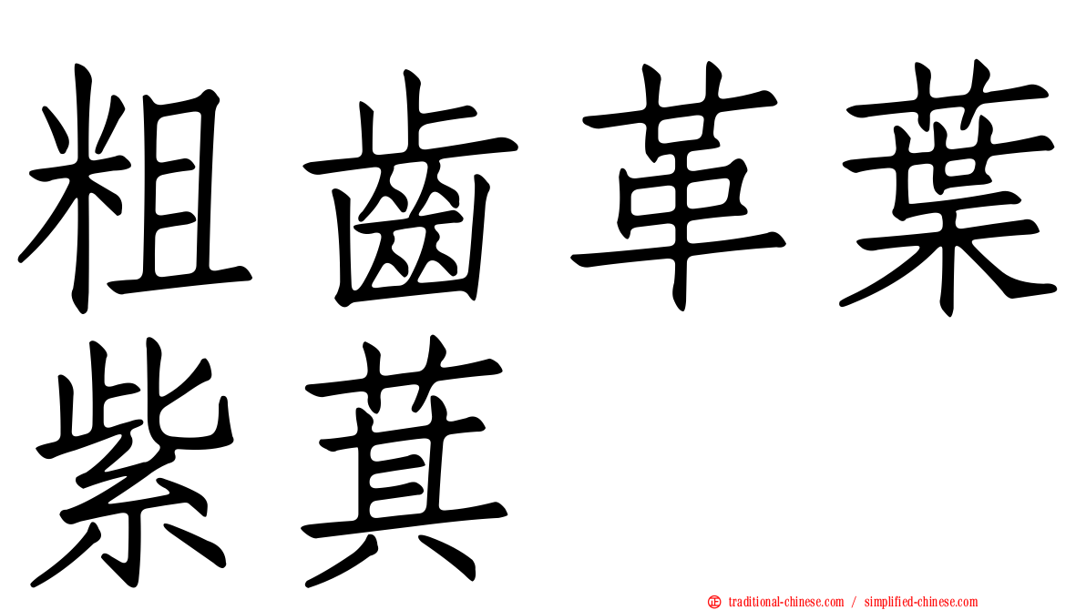 粗齒革葉紫萁
