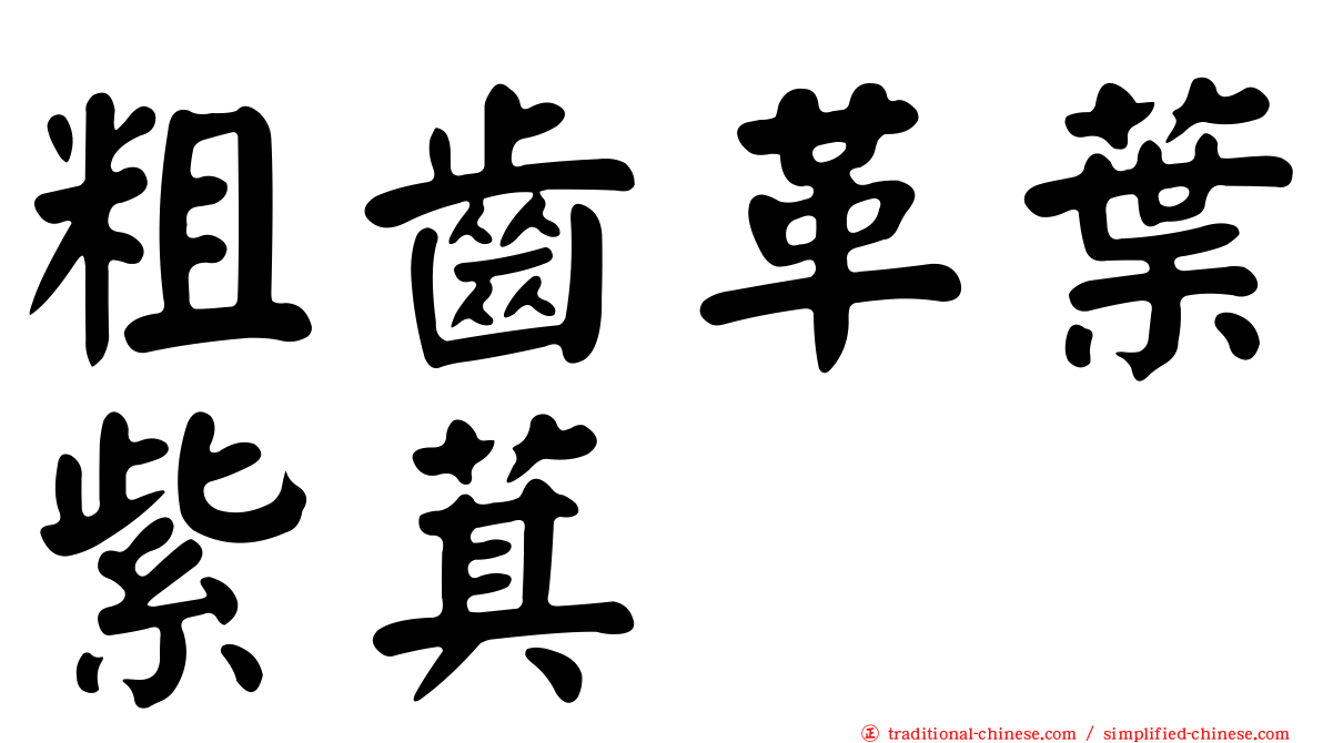 粗齒革葉紫萁