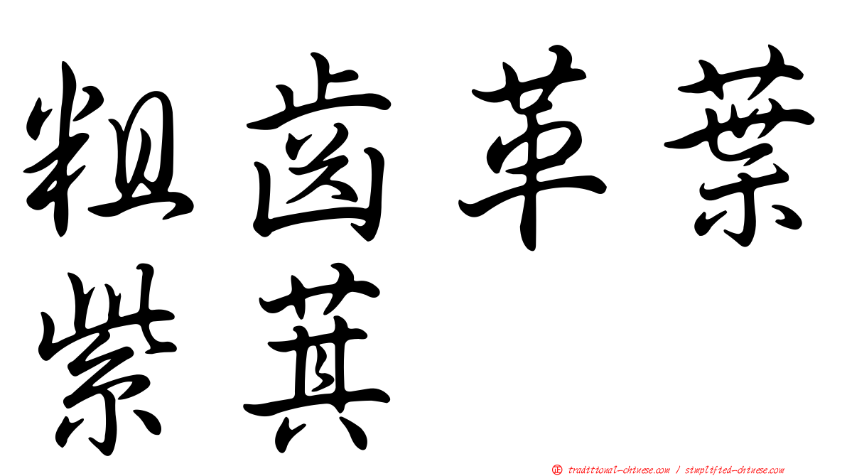 粗齒革葉紫萁