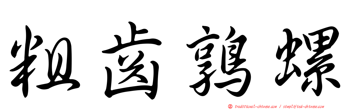 粗齒鶉螺