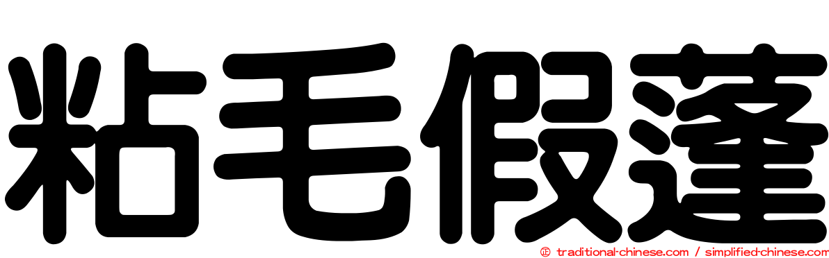 粘毛假蓬