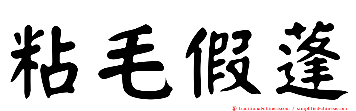 粘毛假蓬