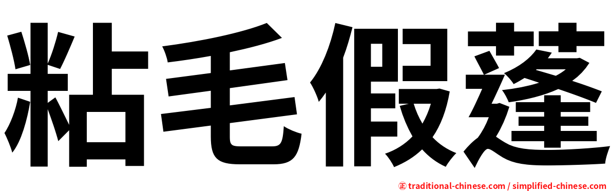 粘毛假蓬