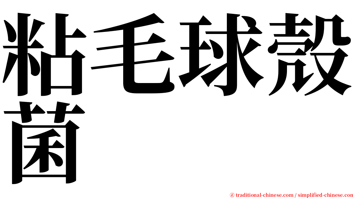 粘毛球殼菌 serif font