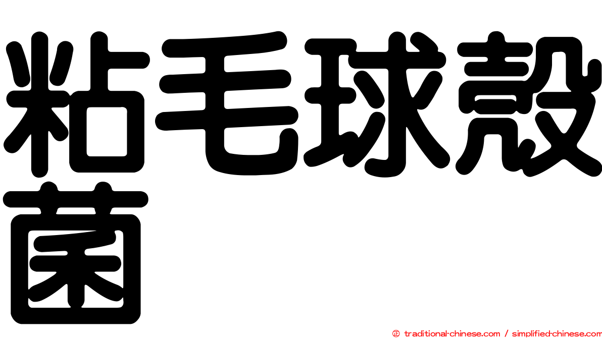 粘毛球殼菌