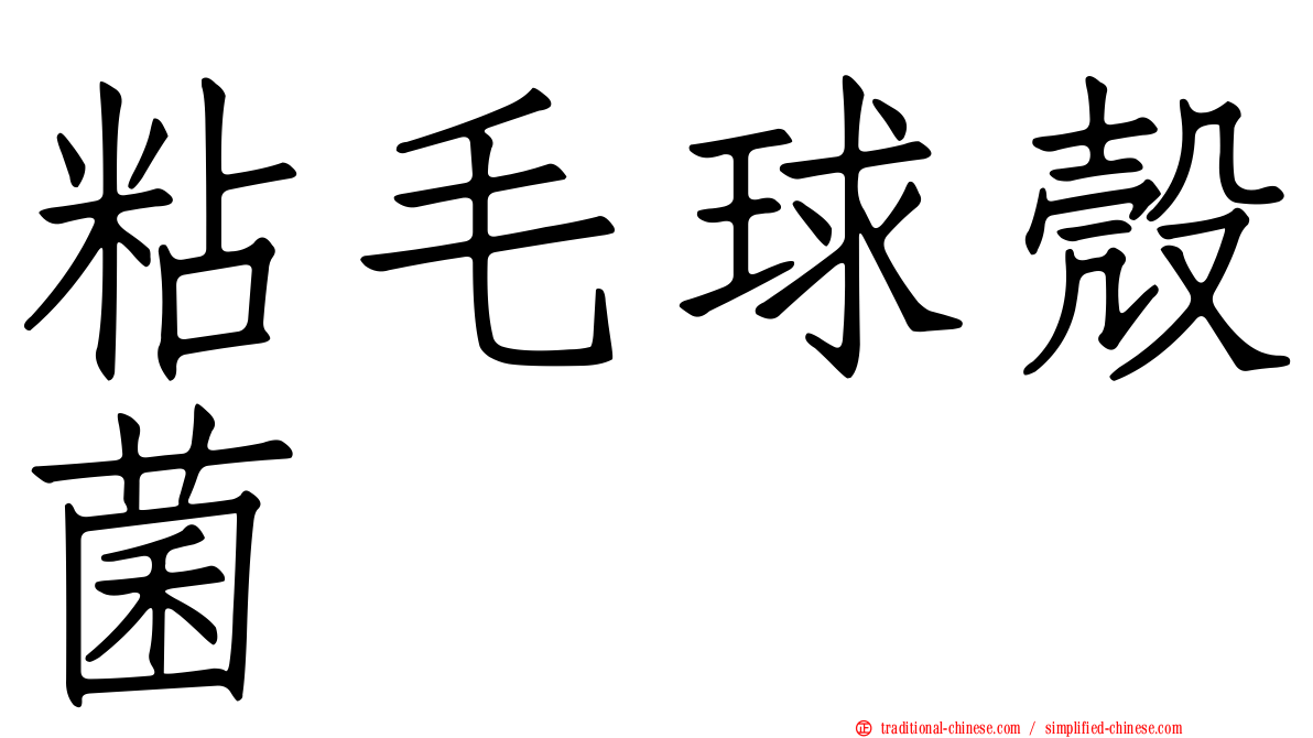 粘毛球殼菌