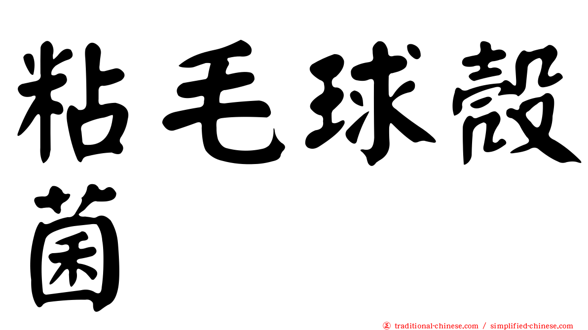 粘毛球殼菌