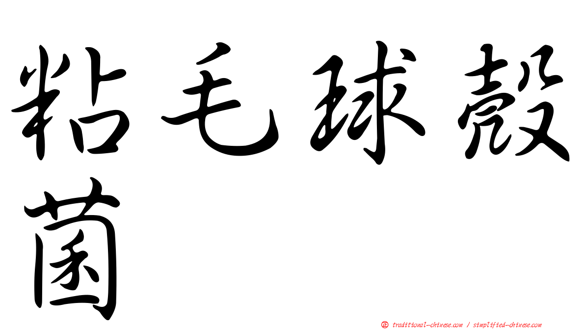 粘毛球殼菌