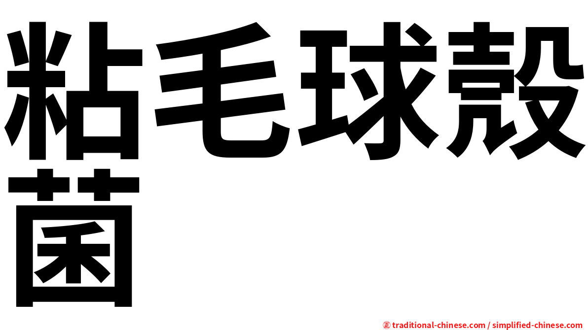 粘毛球殼菌