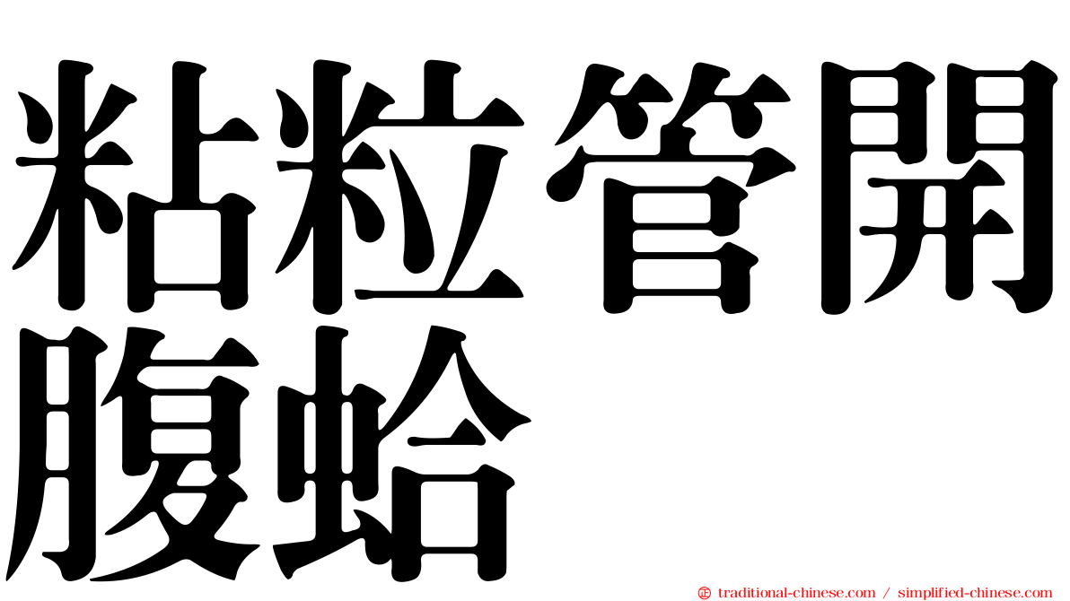 粘粒管開腹蛤