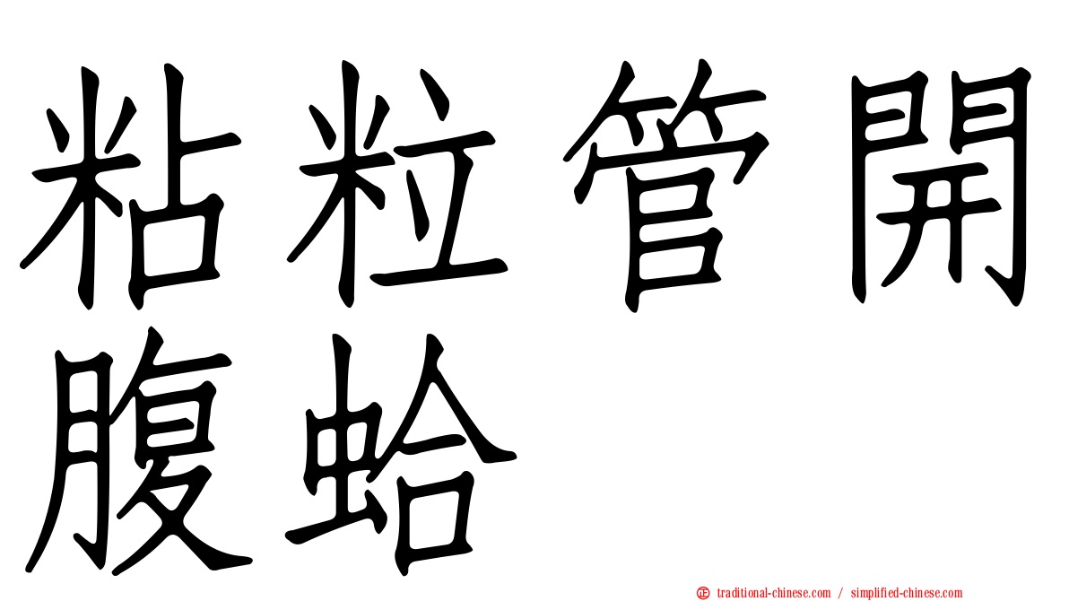 粘粒管開腹蛤