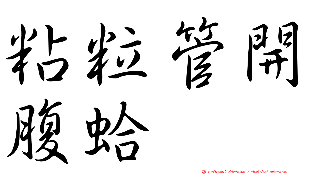 粘粒管開腹蛤