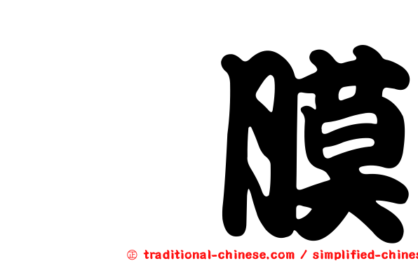 粘膜