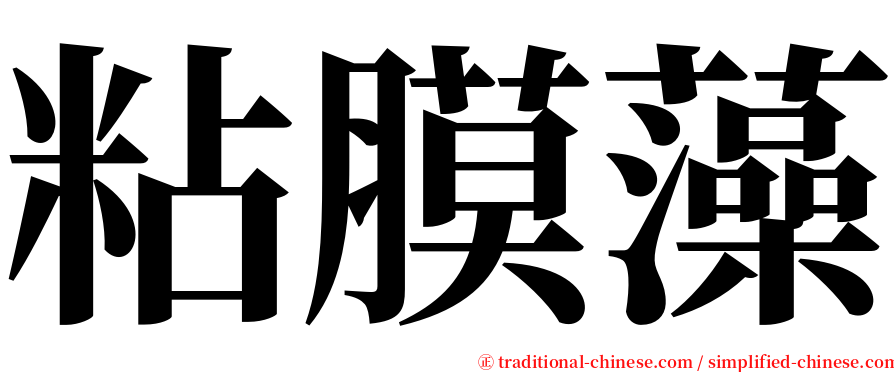 粘膜藻 serif font