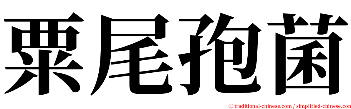 粟尾孢菌 serif font
