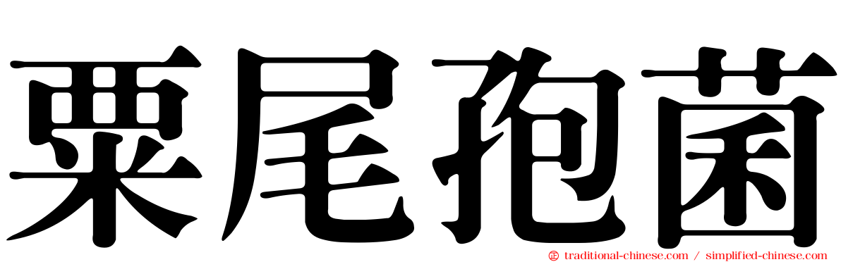 粟尾孢菌