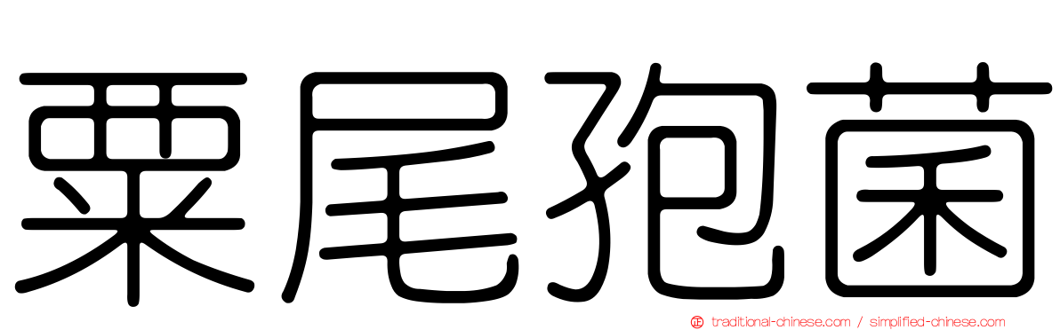 粟尾孢菌