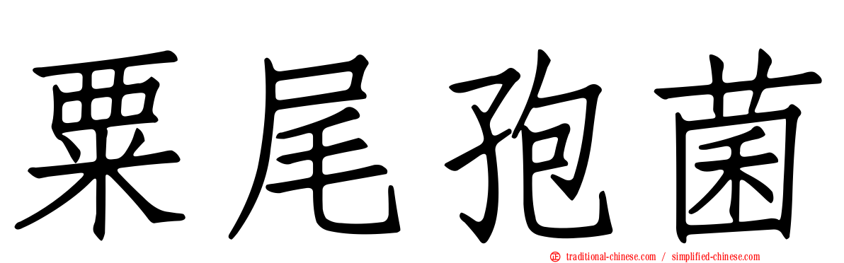 粟尾孢菌