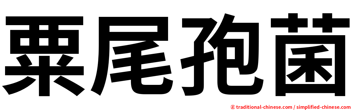 粟尾孢菌