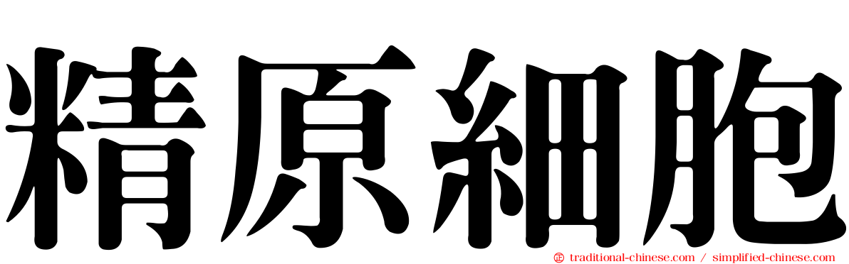 精原細胞