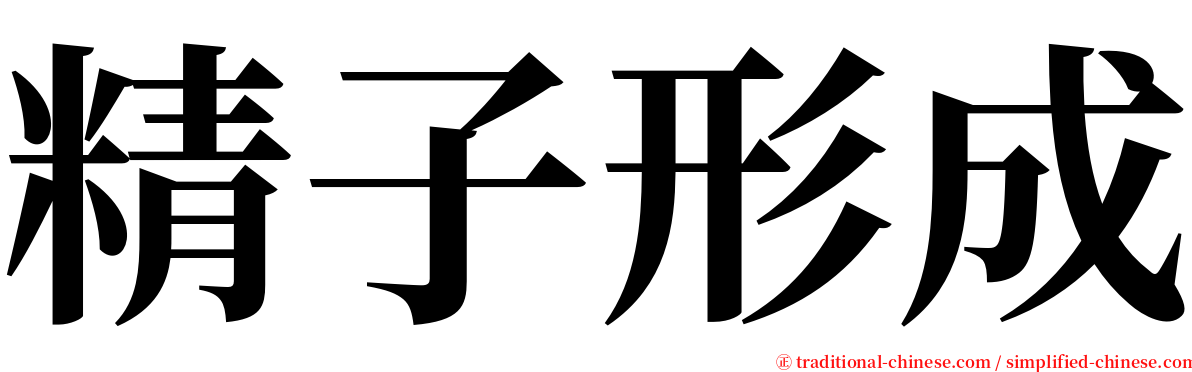 精子形成 serif font