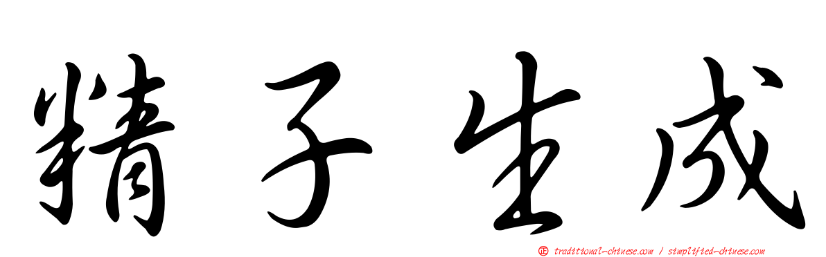 精子生成